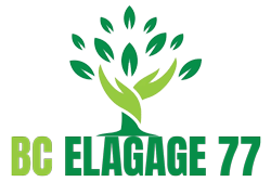 elagage-bc-elagage